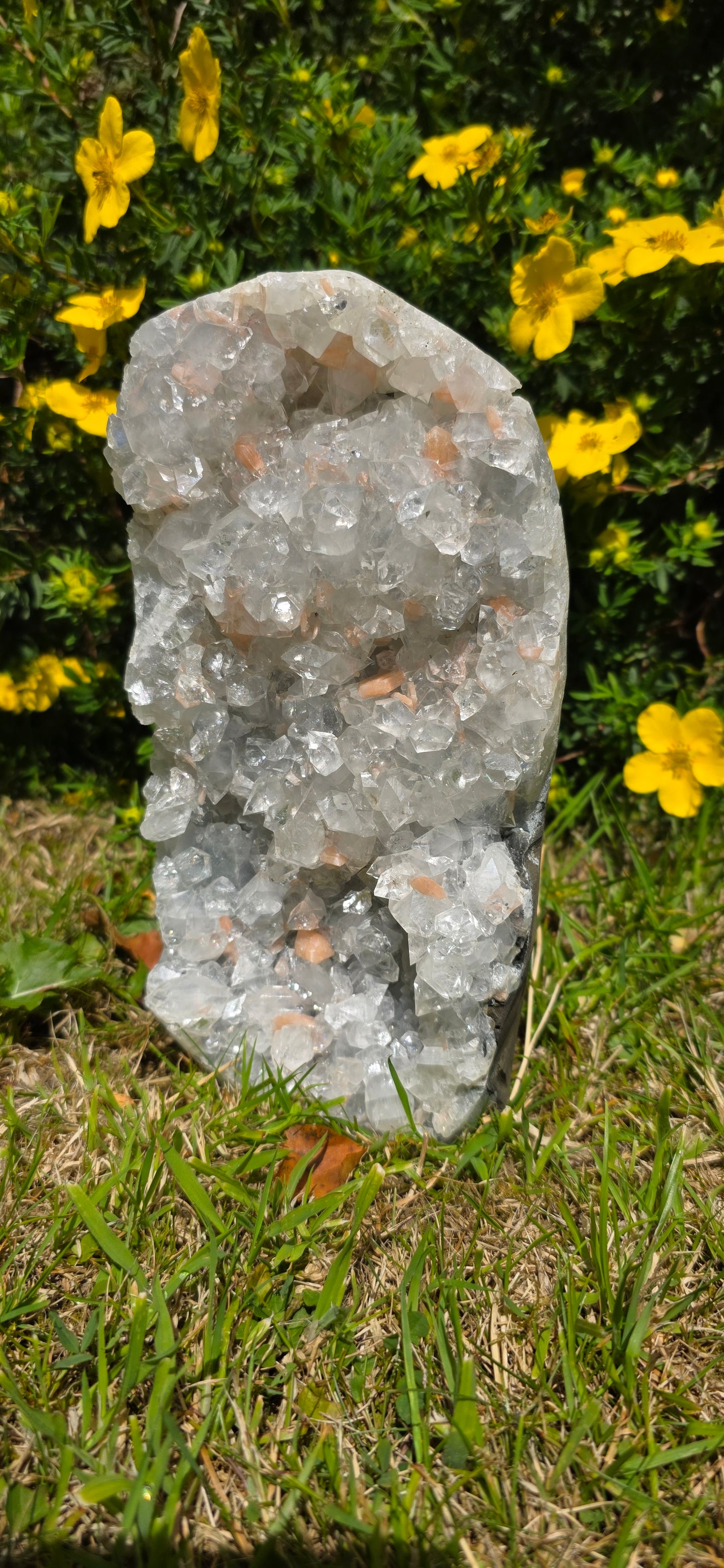 Large apophyllite and stillbite freeform cluster statement piece