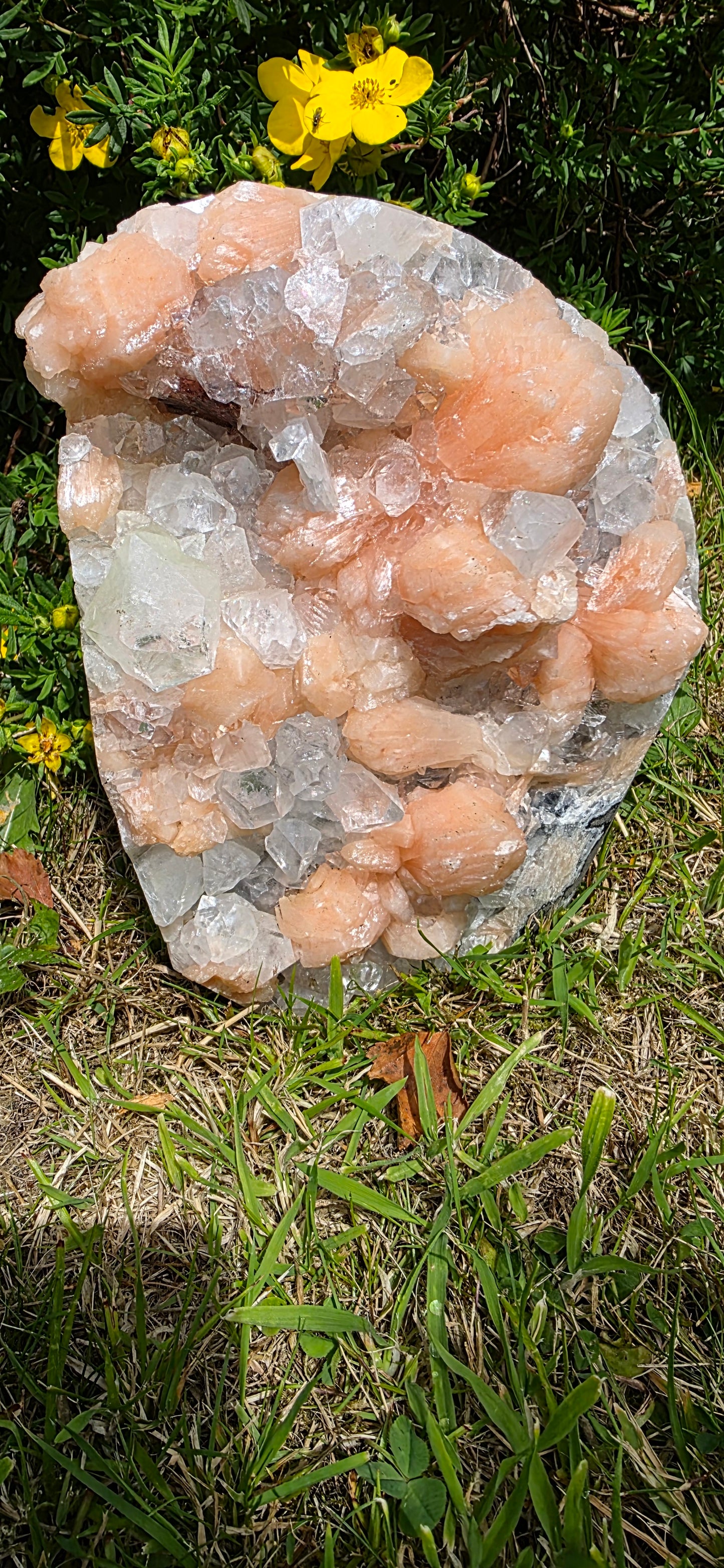 Large apophyllite and peach stillbite statement piece