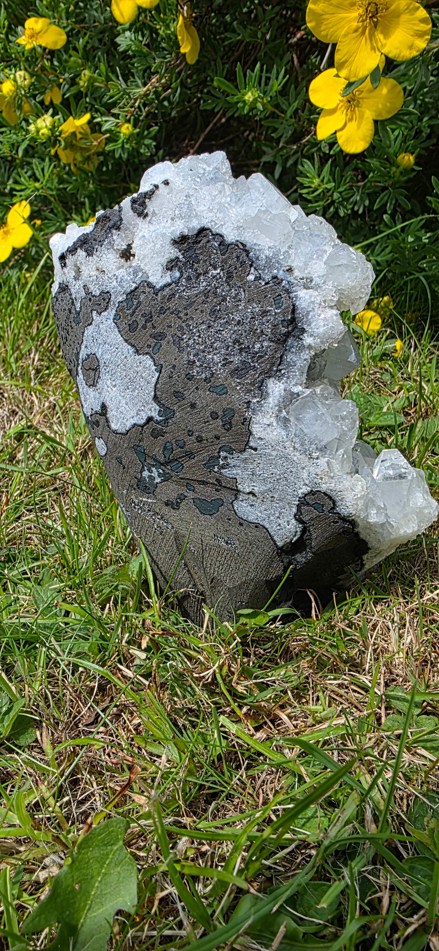 Apophyllite cluster freeform