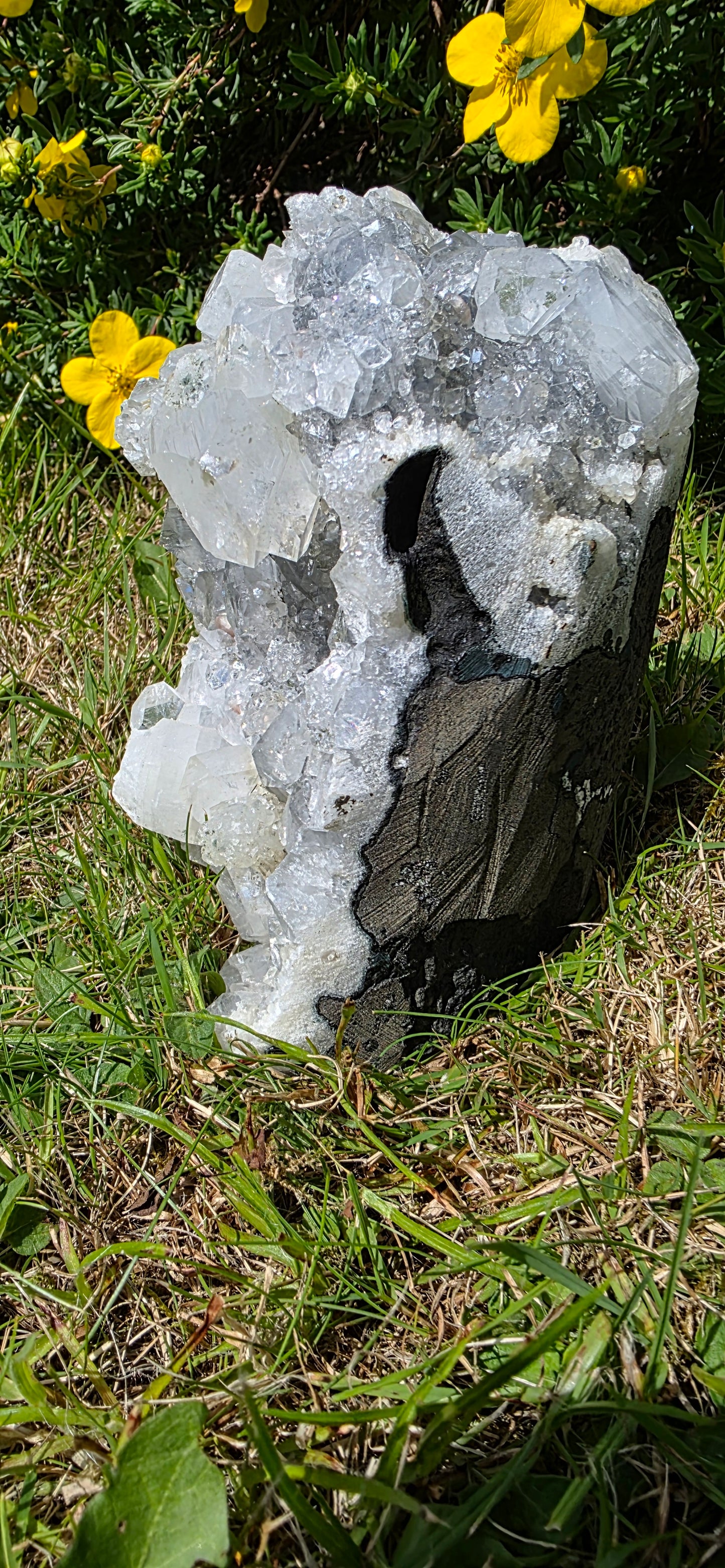 Apophyllite cluster freeform