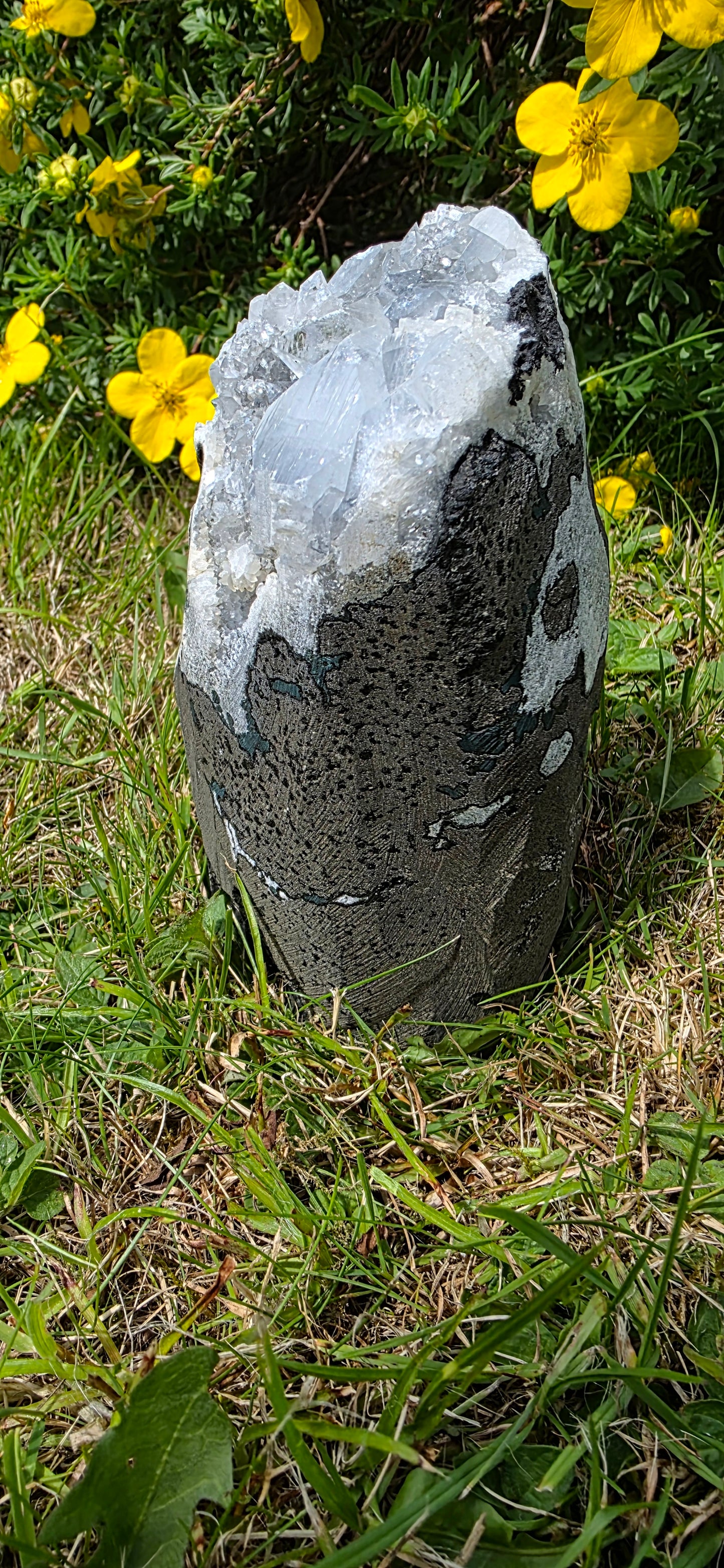 Apophyllite cluster freeform