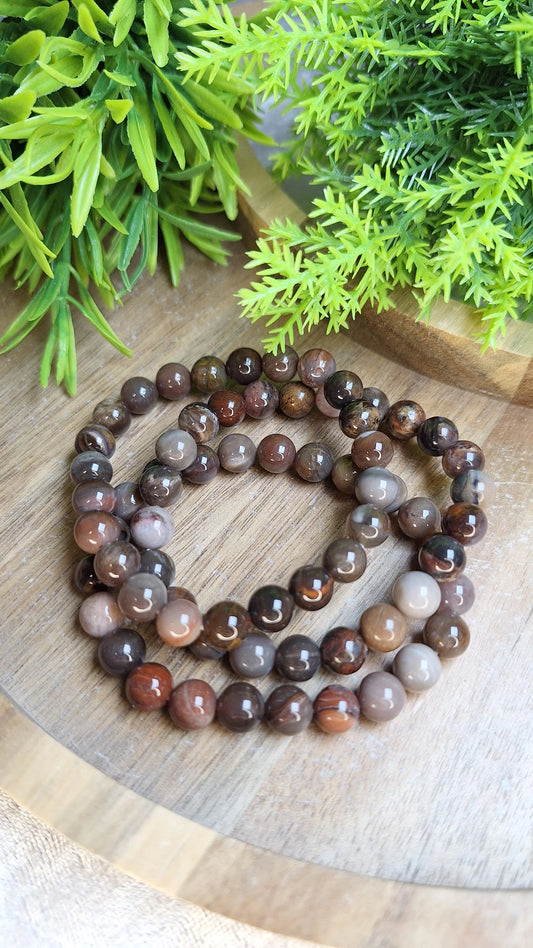 Petrified wood bracelet