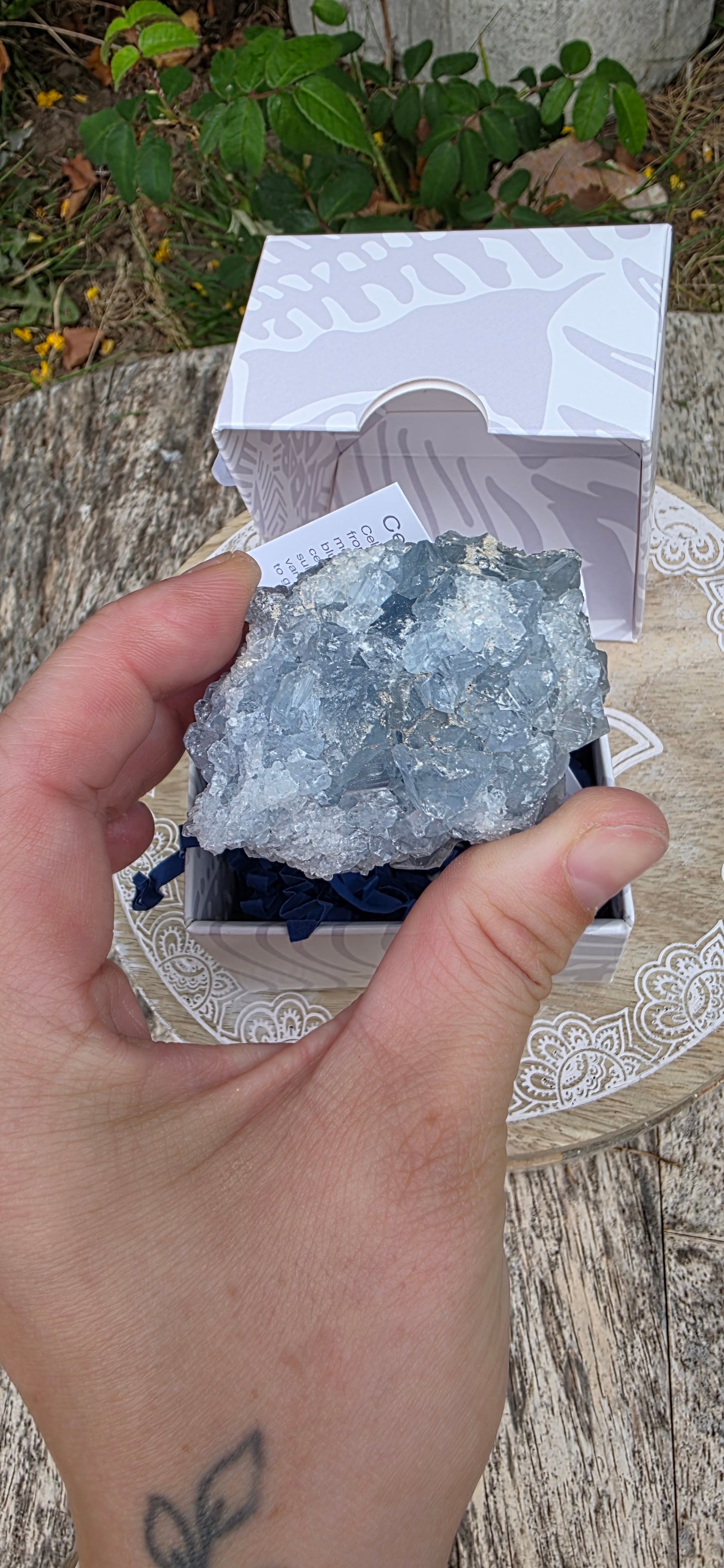 Celestite cluster