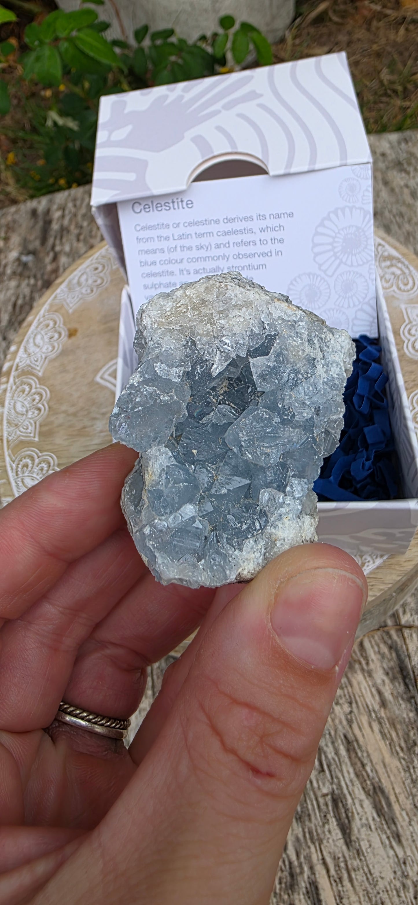 Celestite cluster