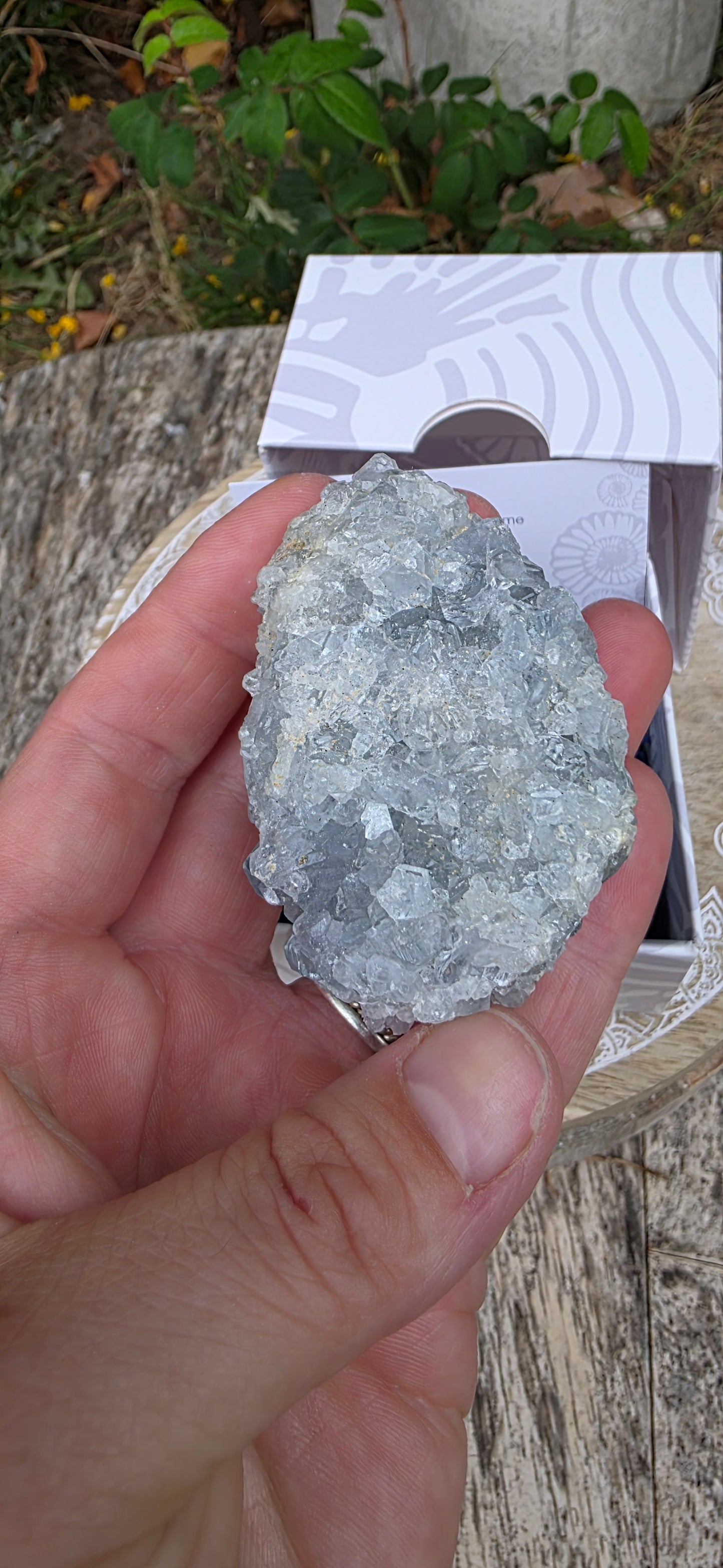 Celestite cluster