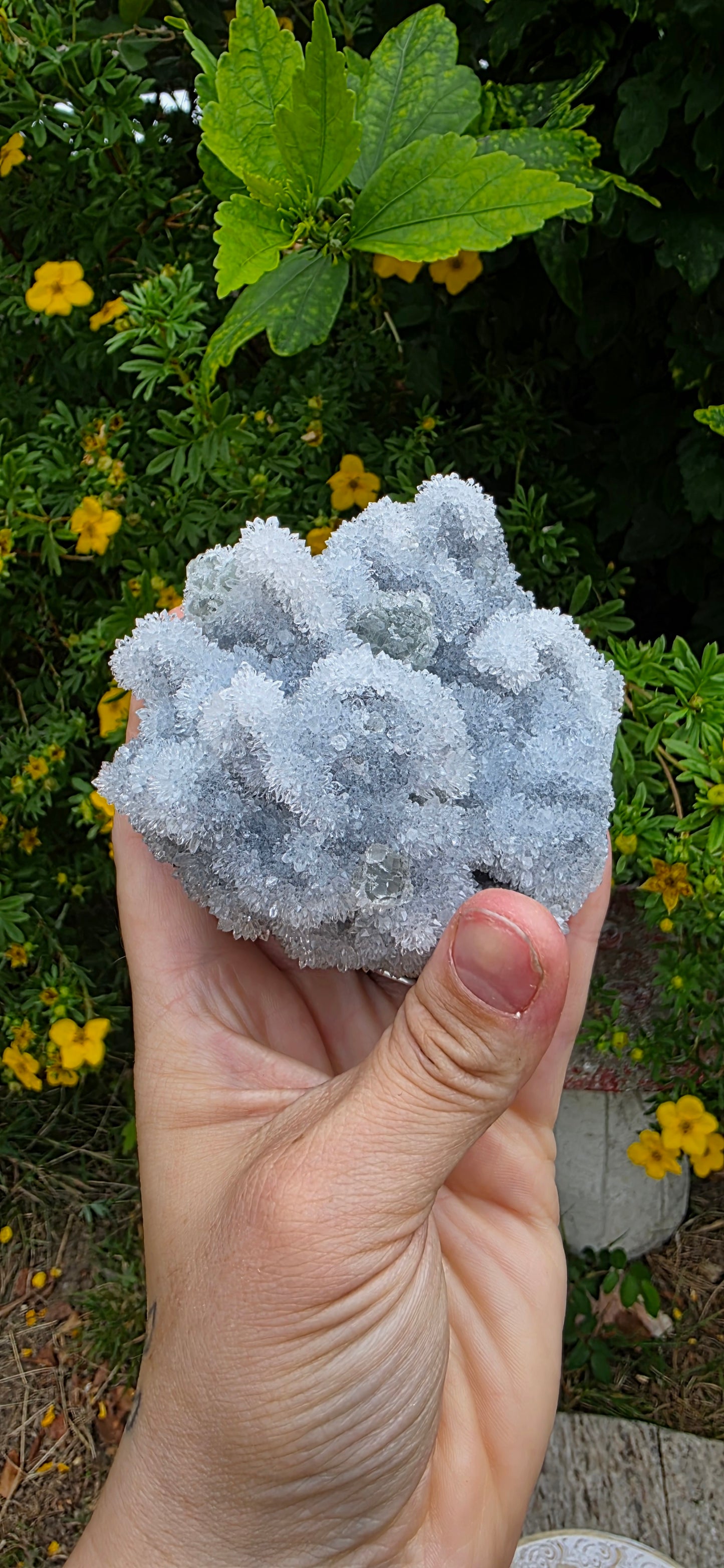 Green fluorite and quartz from fujian china