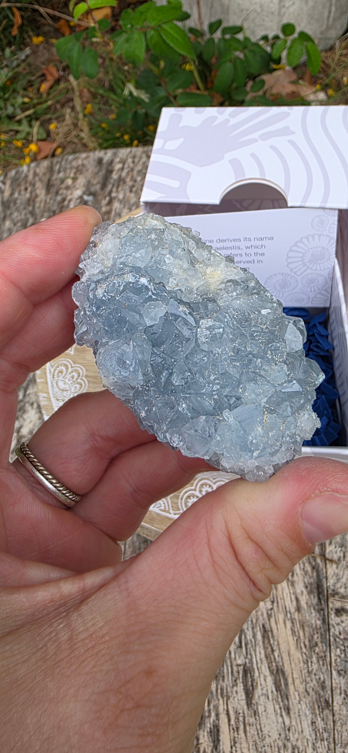 Celestite cluster