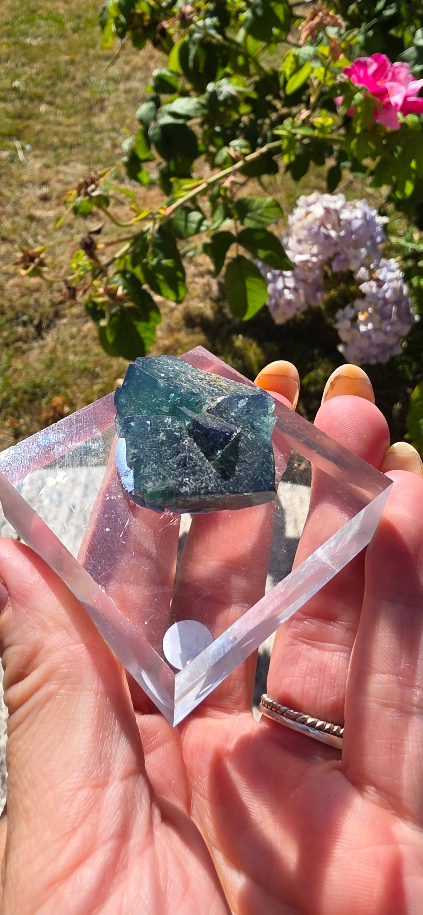 Northan lights fluorite specimen