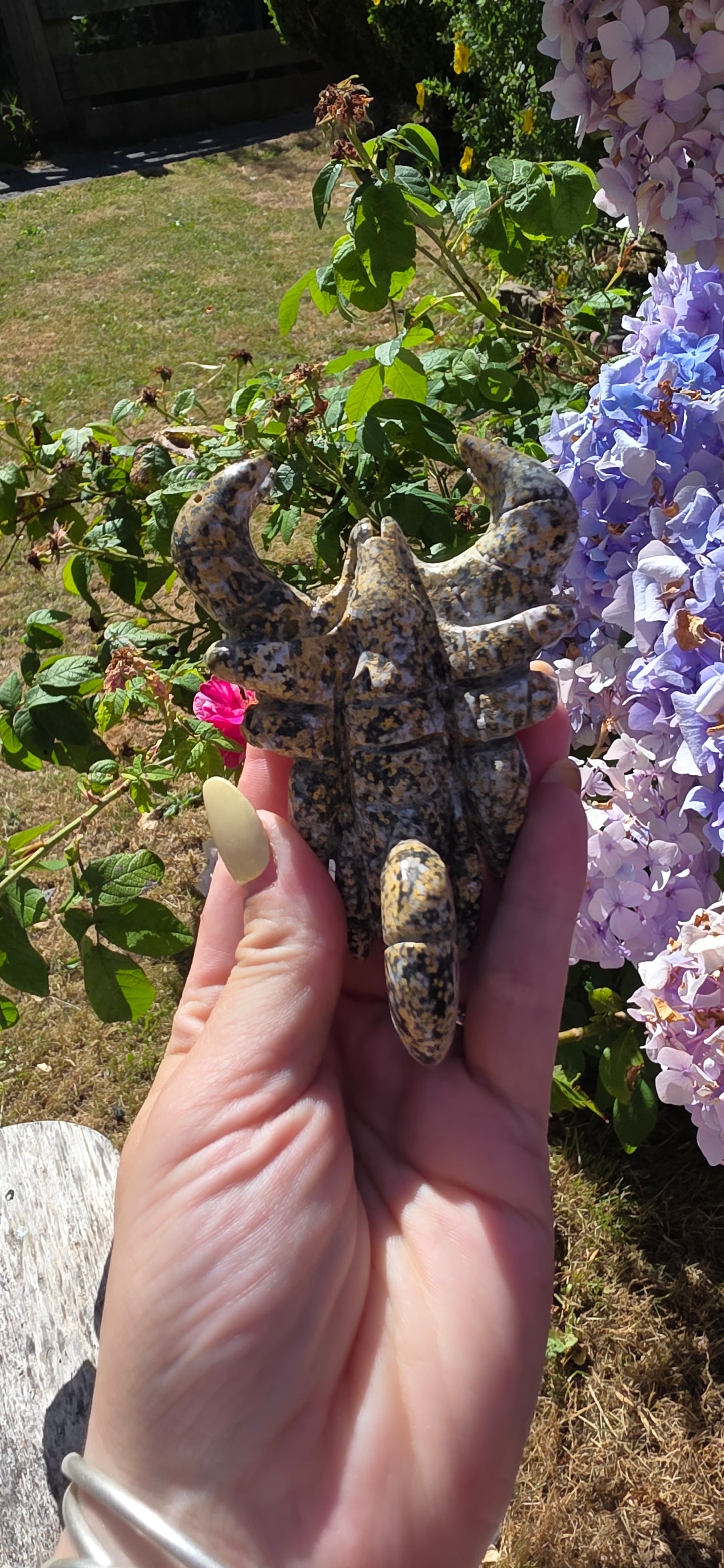 Ocean jasper scorpian carving