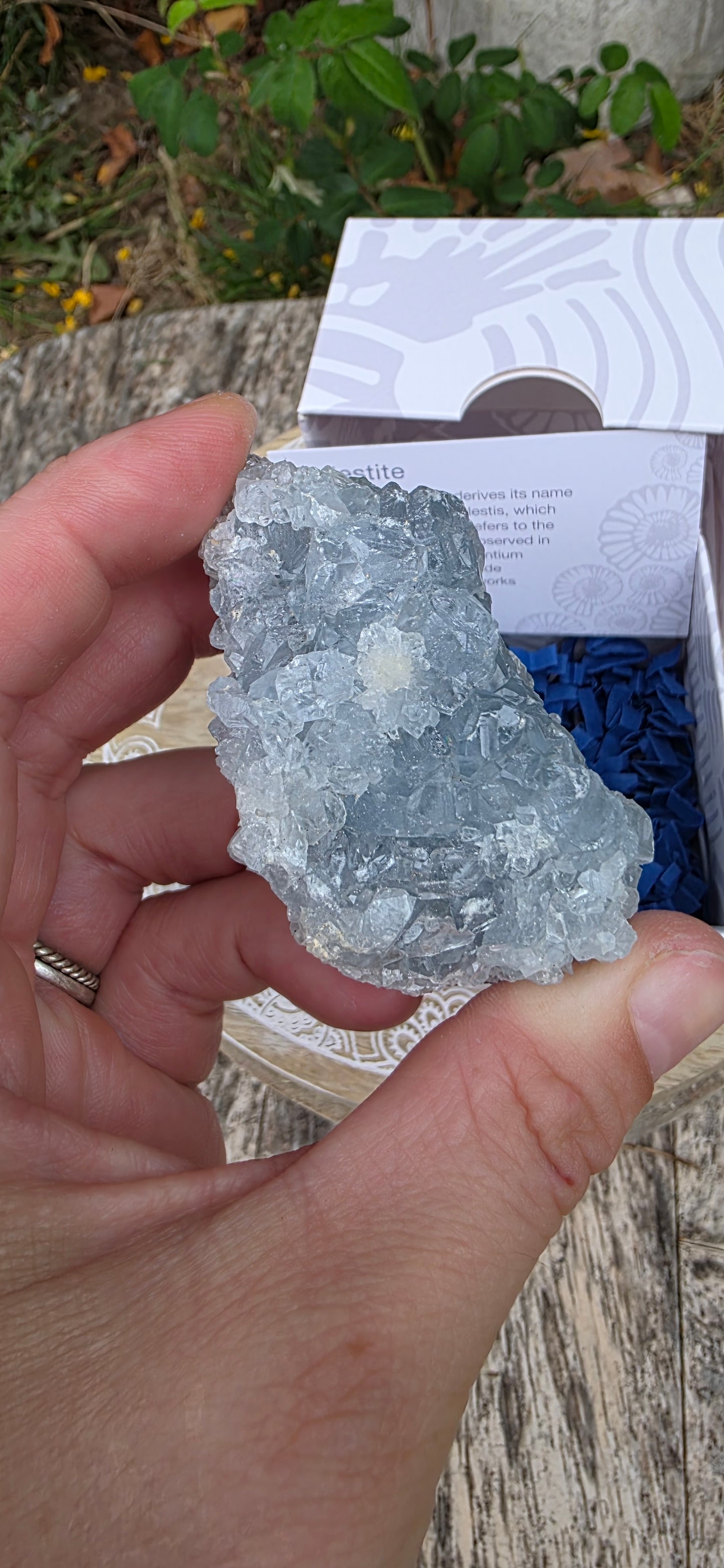Celestite cluster