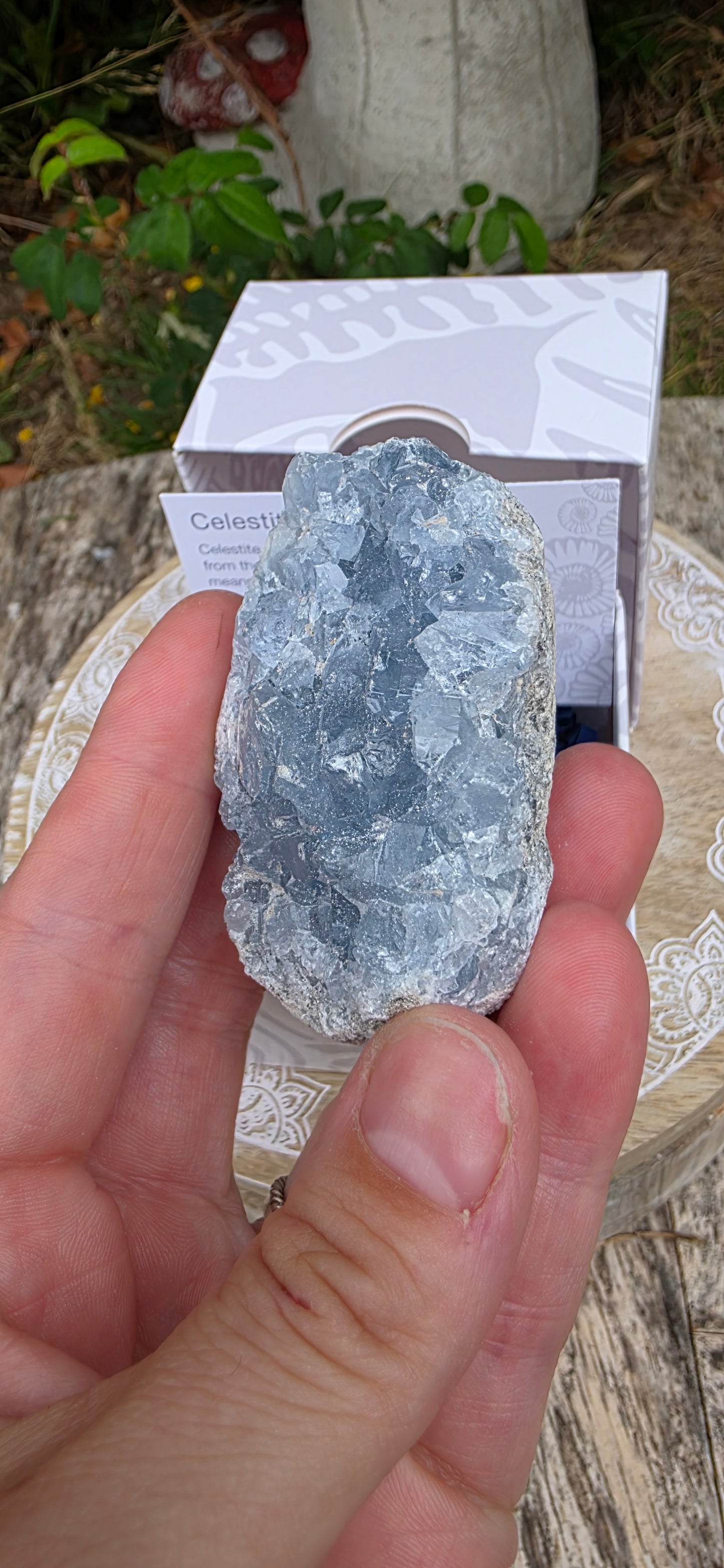Celestite cluster