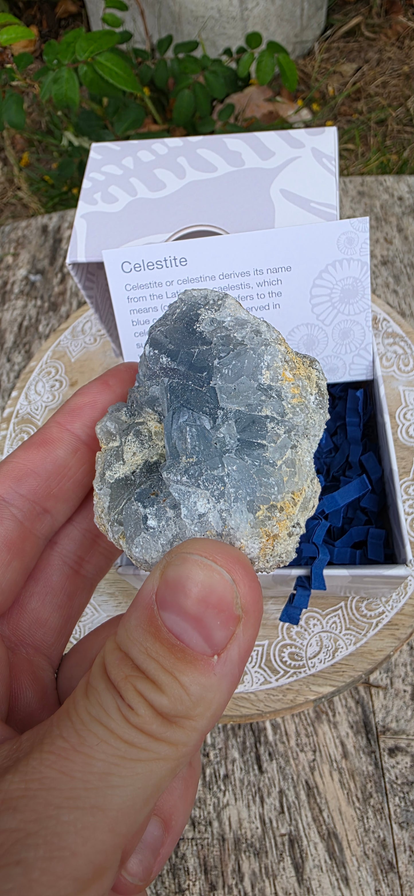 Celestite cluster