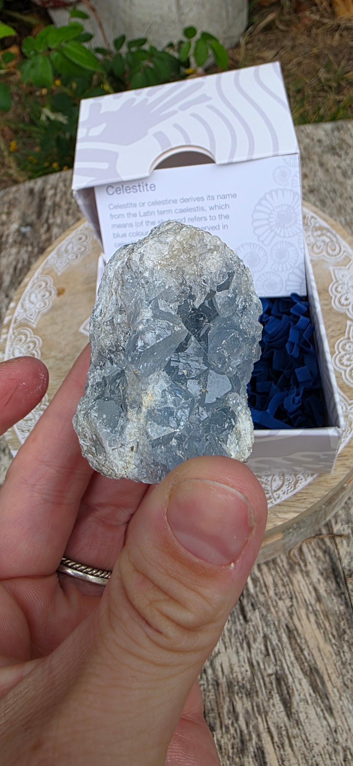 Celestite cluster