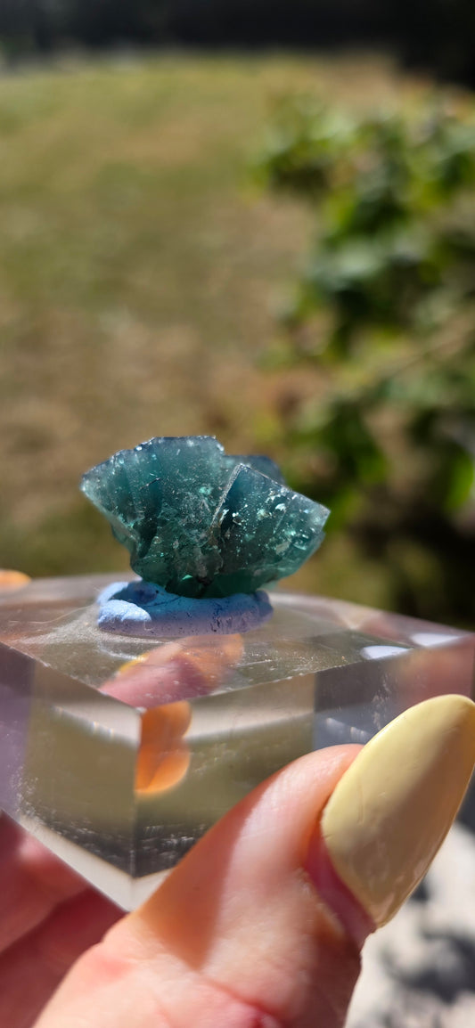 Northan lights fluorite specimen