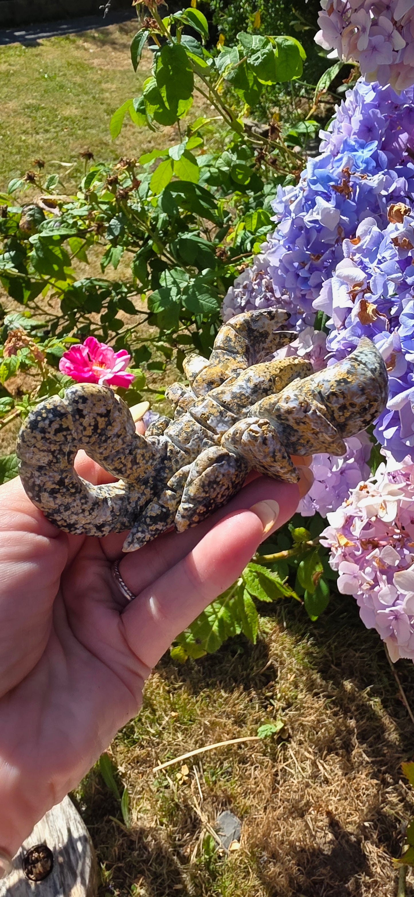 Ocean jasper scorpian carving