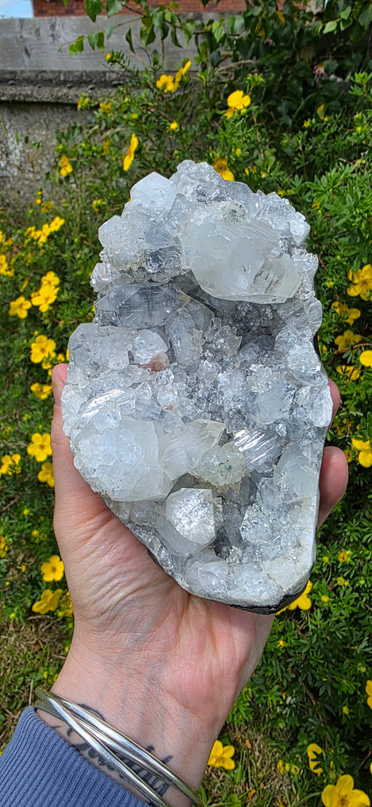 Apophyllite cluster freeform