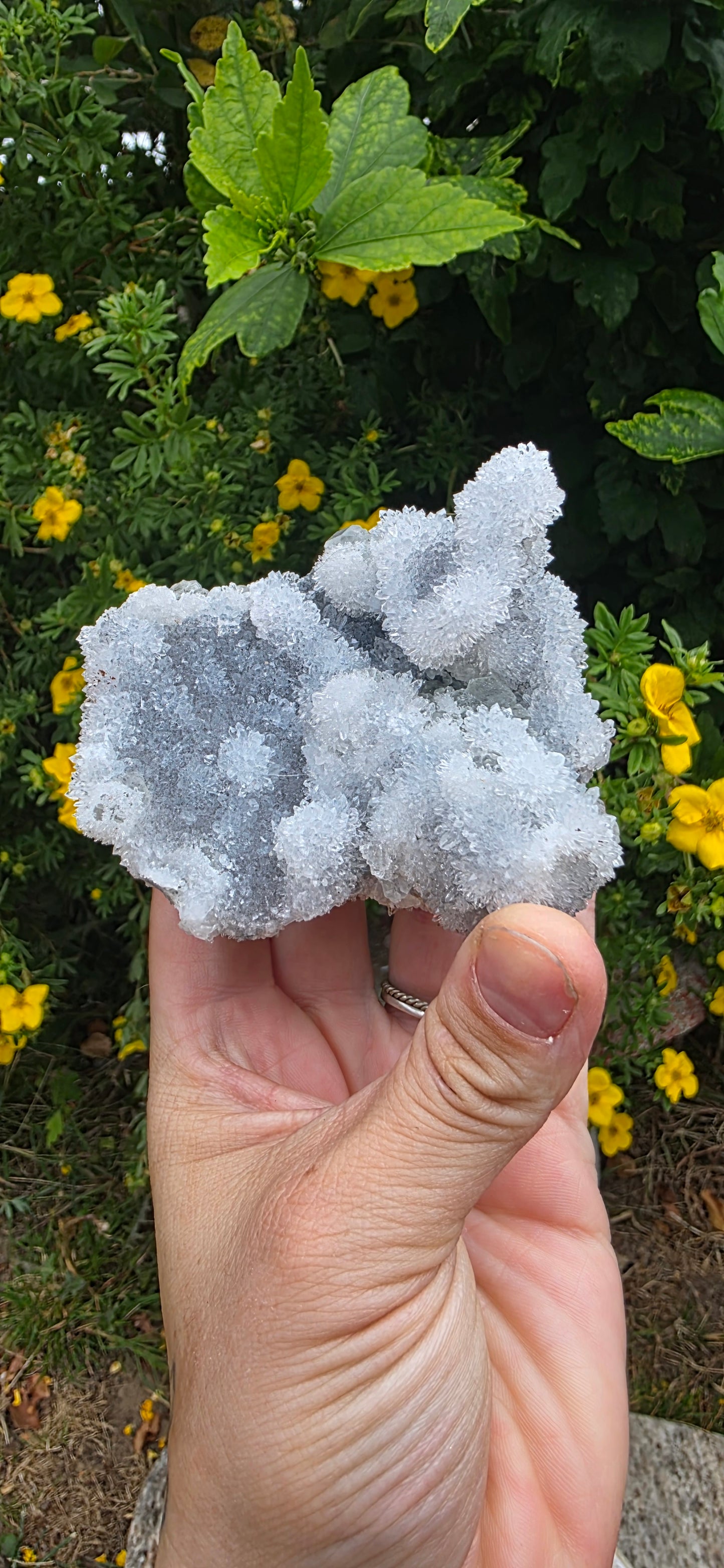 Green fluorite and quartz from jujian china