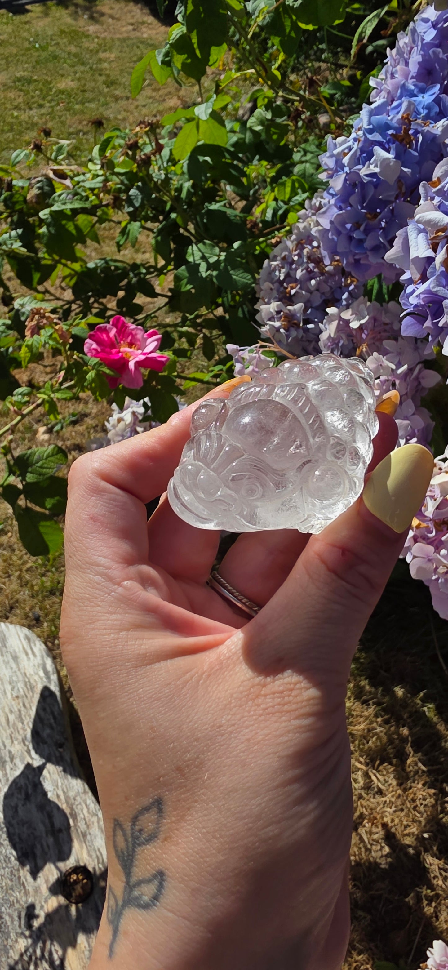 Clear quartz money frog/toad