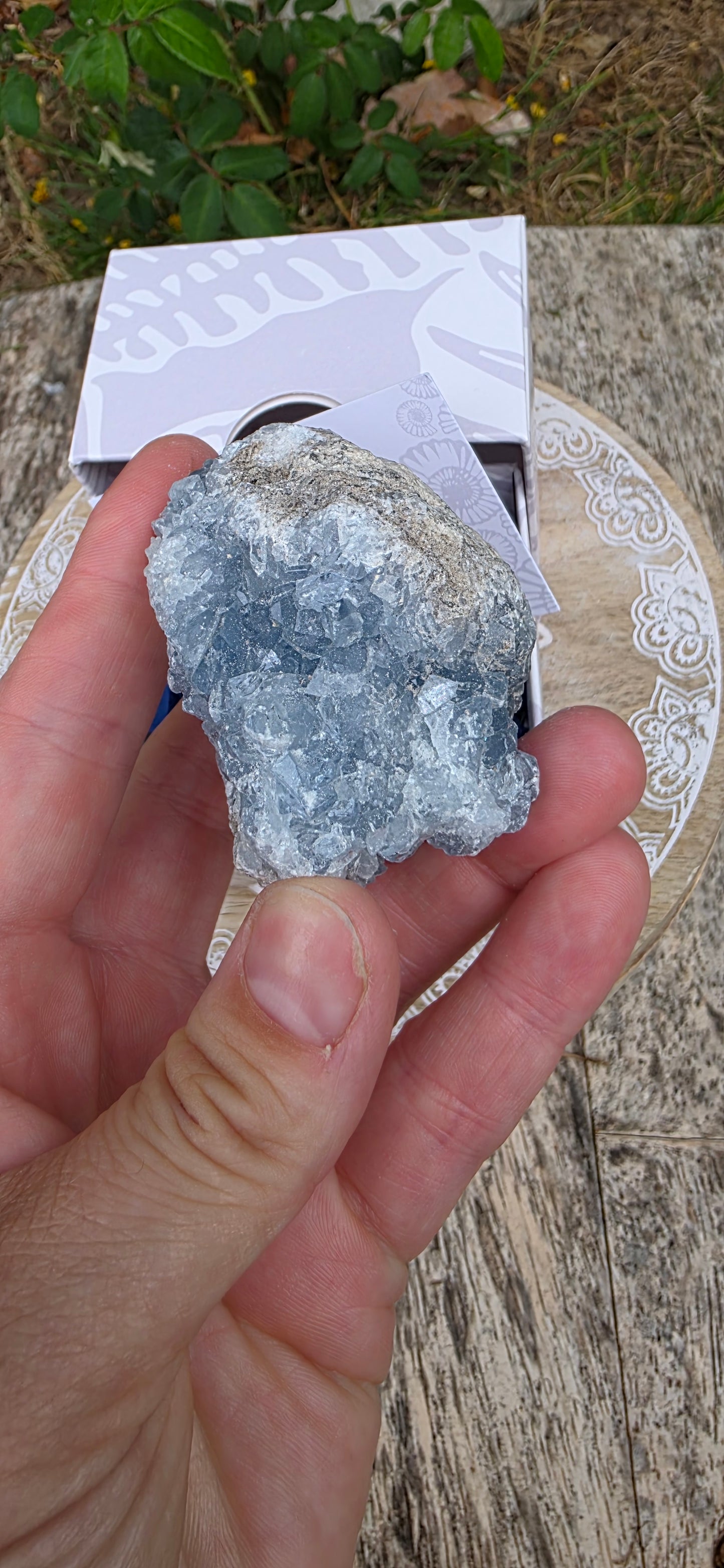 Celestite cluster
