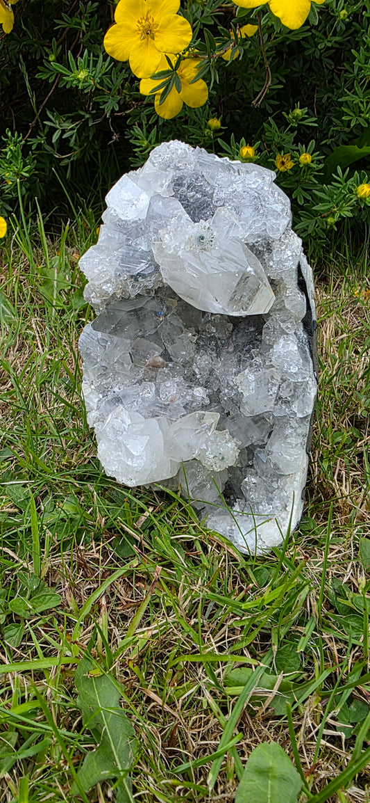 Apophyllite cluster freeform