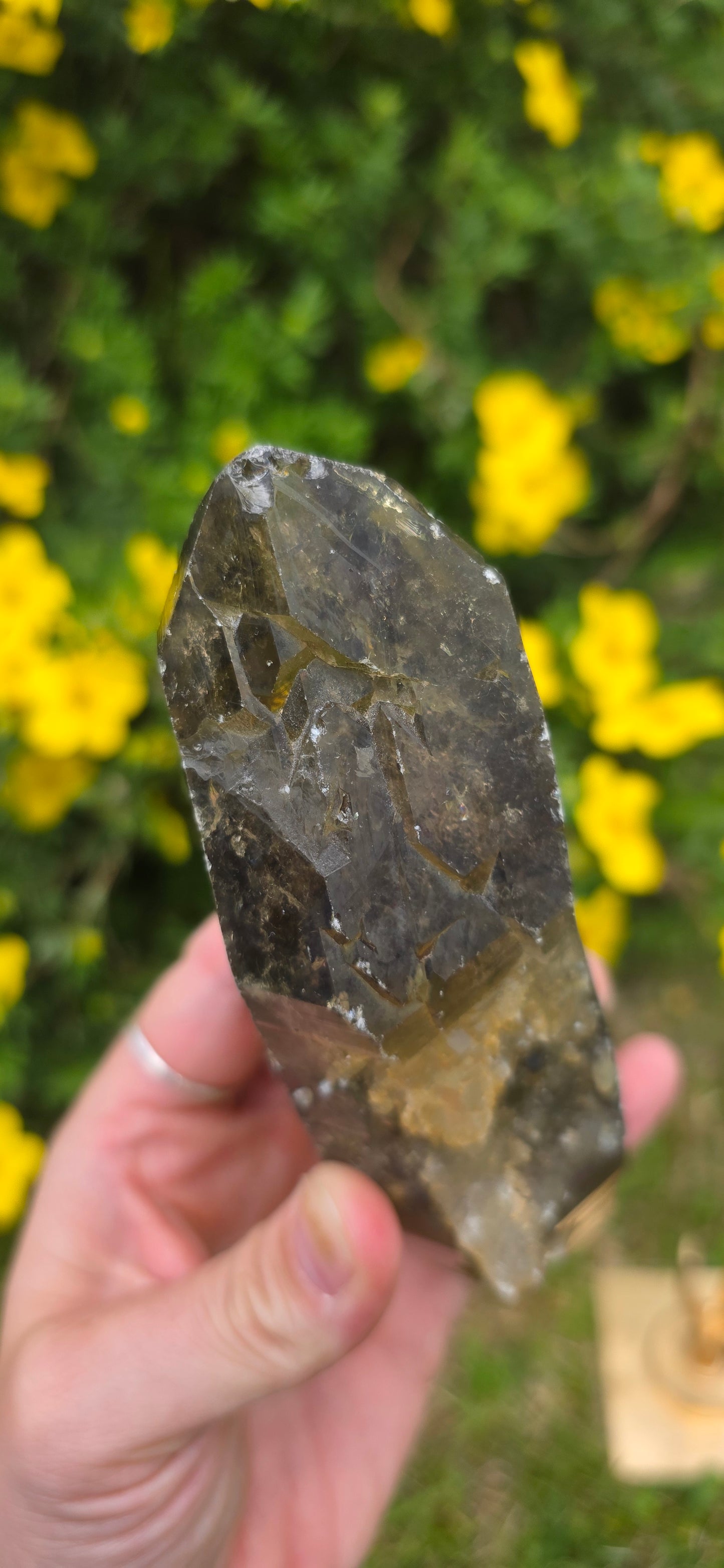 Large lightening struck smokey quartz dt on a spinning stand