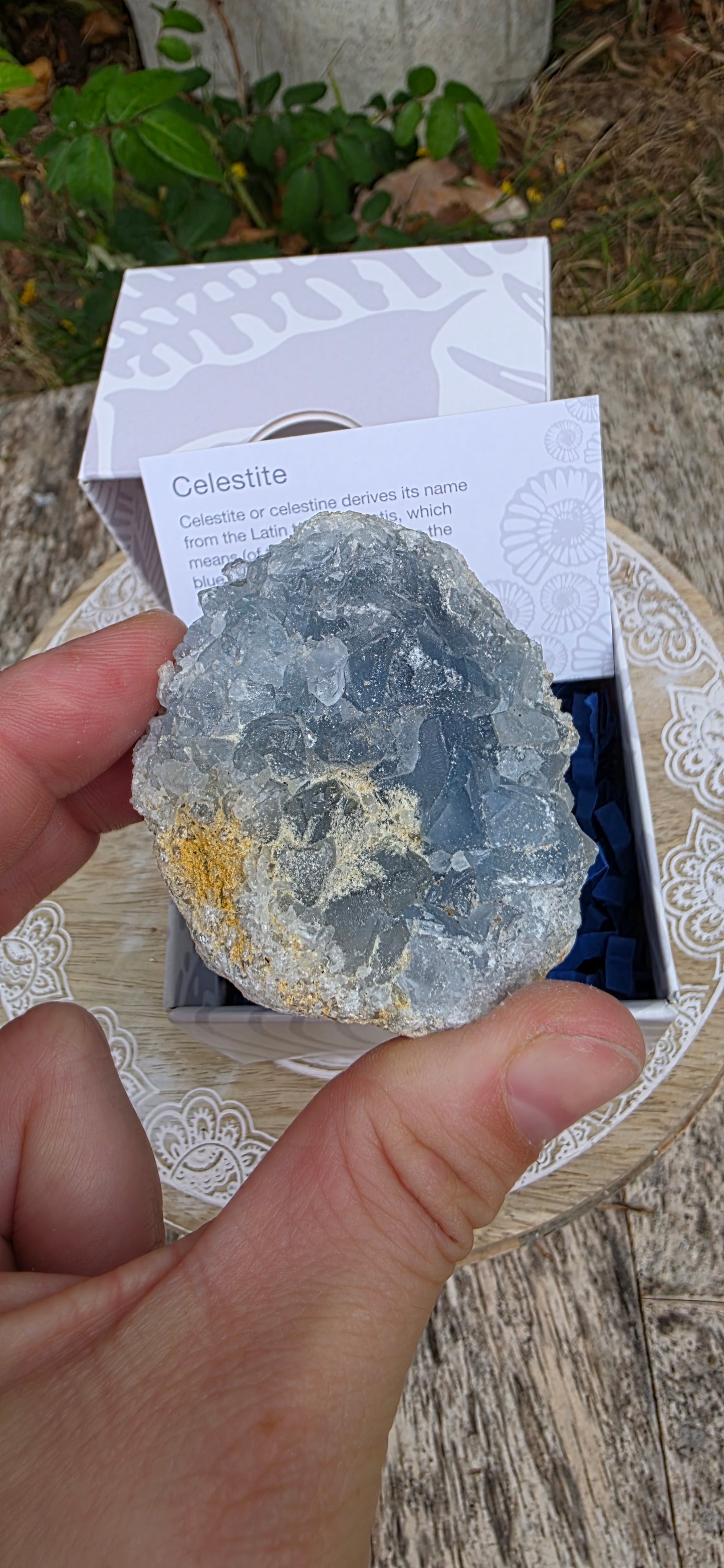 Celestite cluster