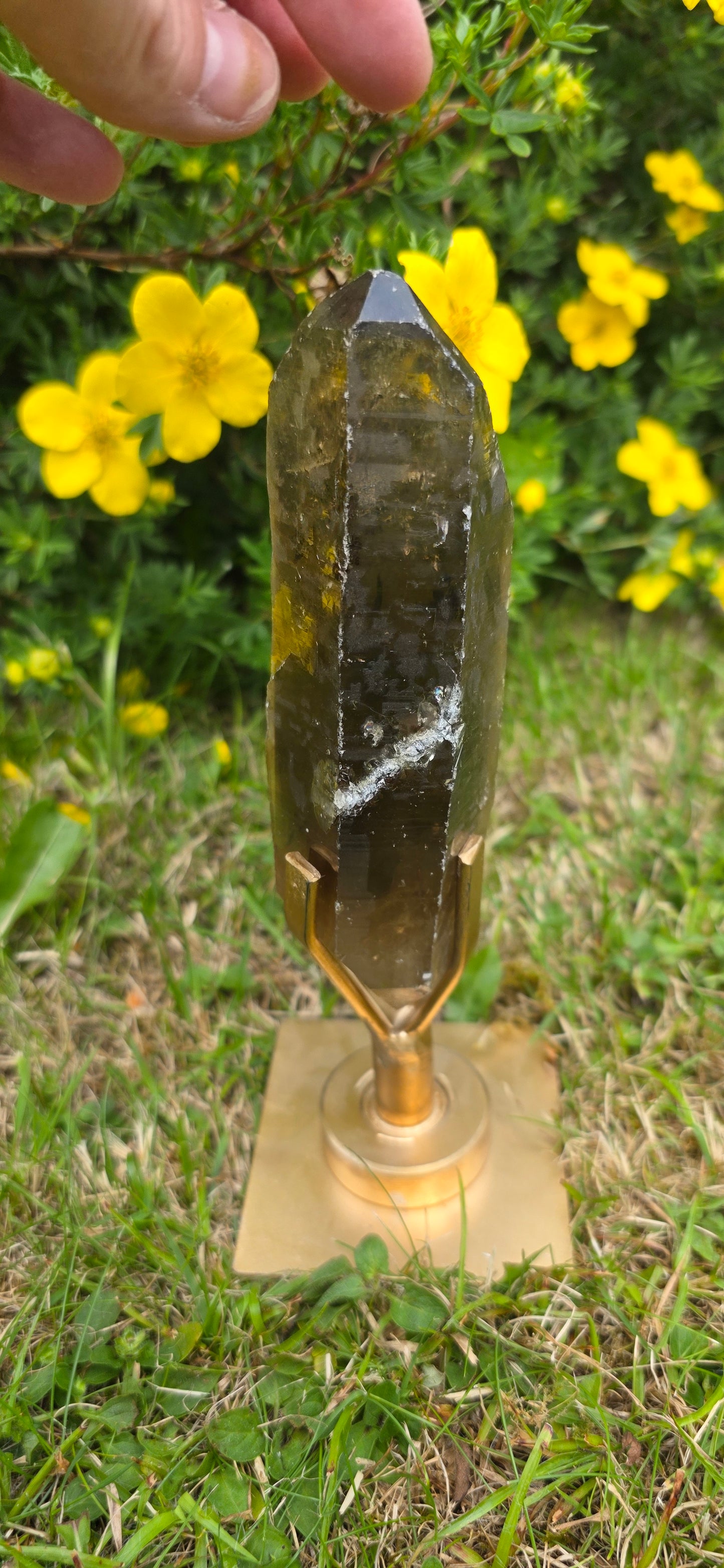 Large lightening struck smokey quartz dt on a spinning stand