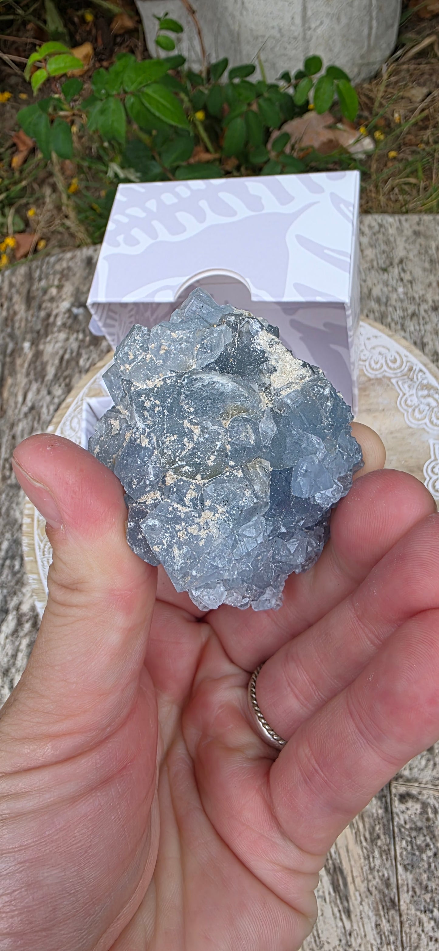 Celestite cluster