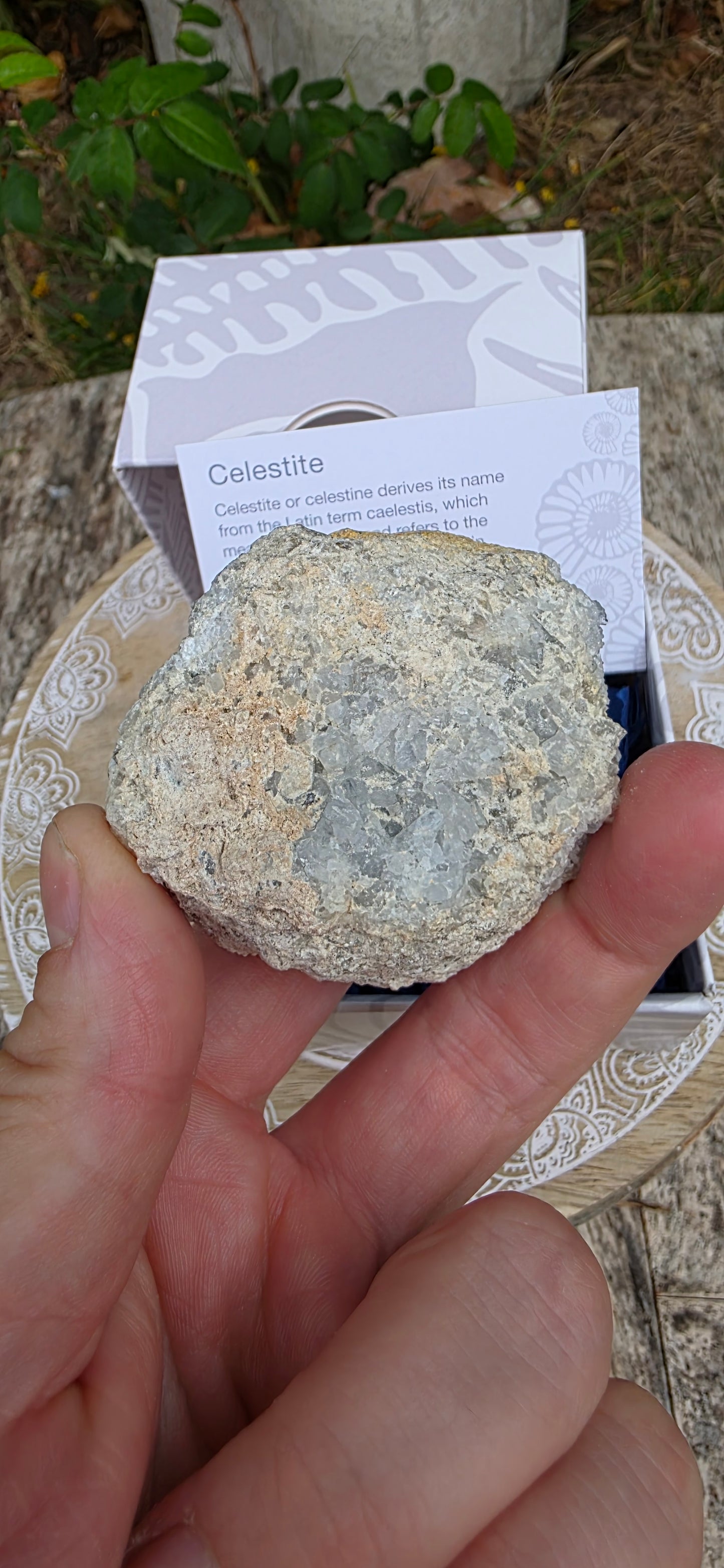 Celestite cluster