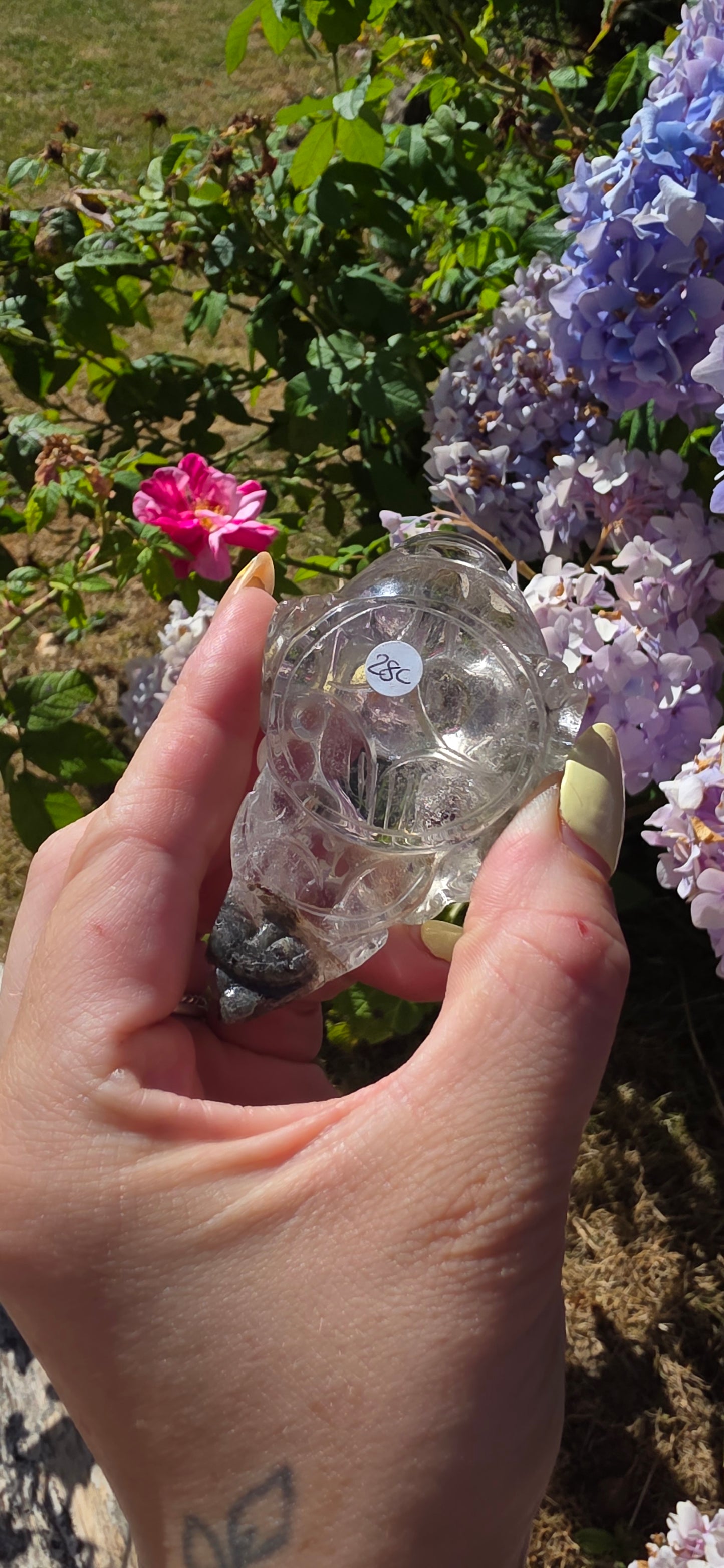 Garden quartz money frog/toad