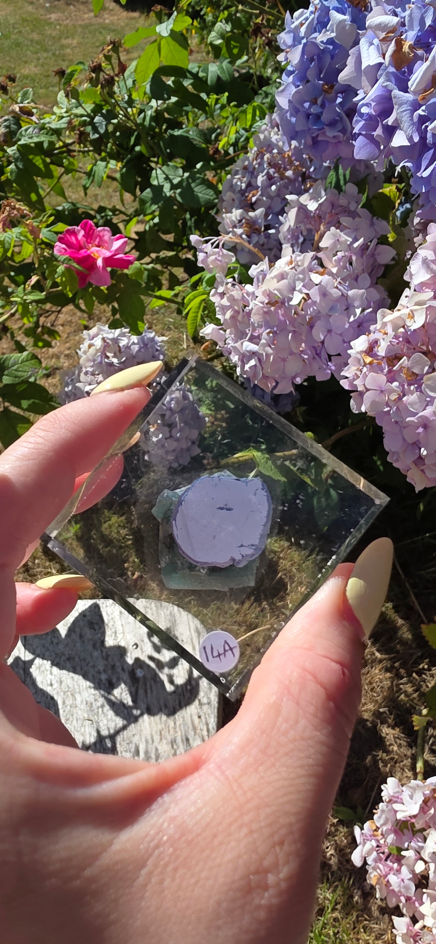Northan lights fluorite specimen
