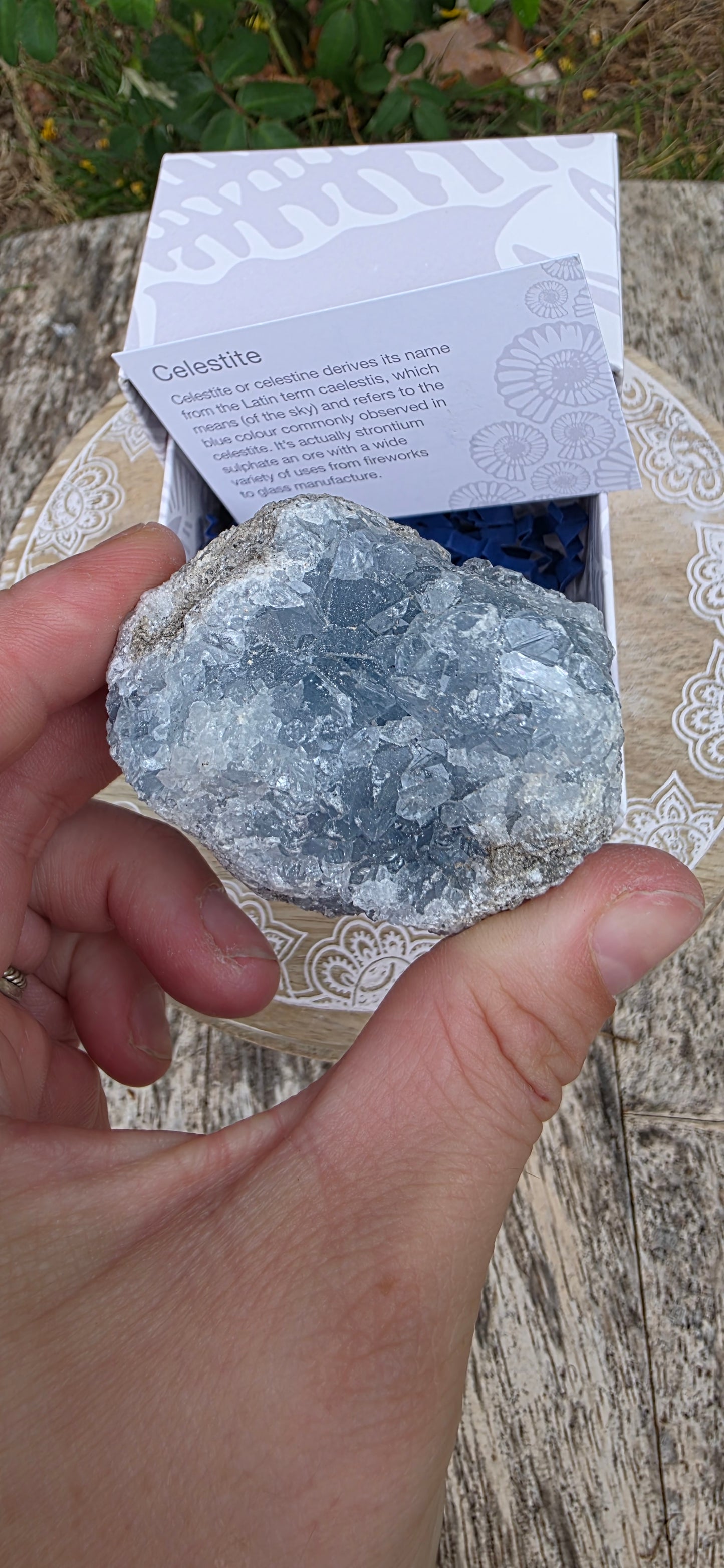 Celestite cluster