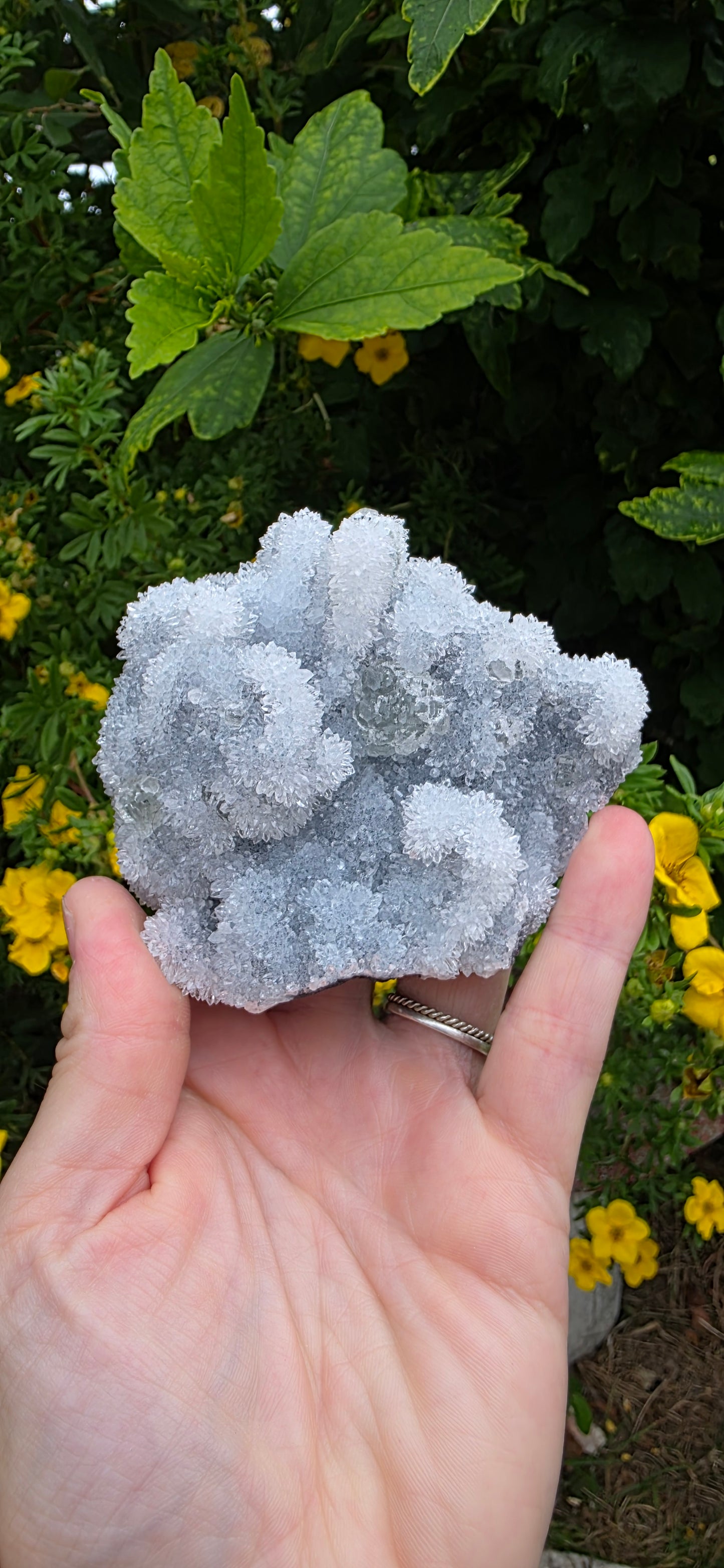 Green fluorite and quartz from fujian china