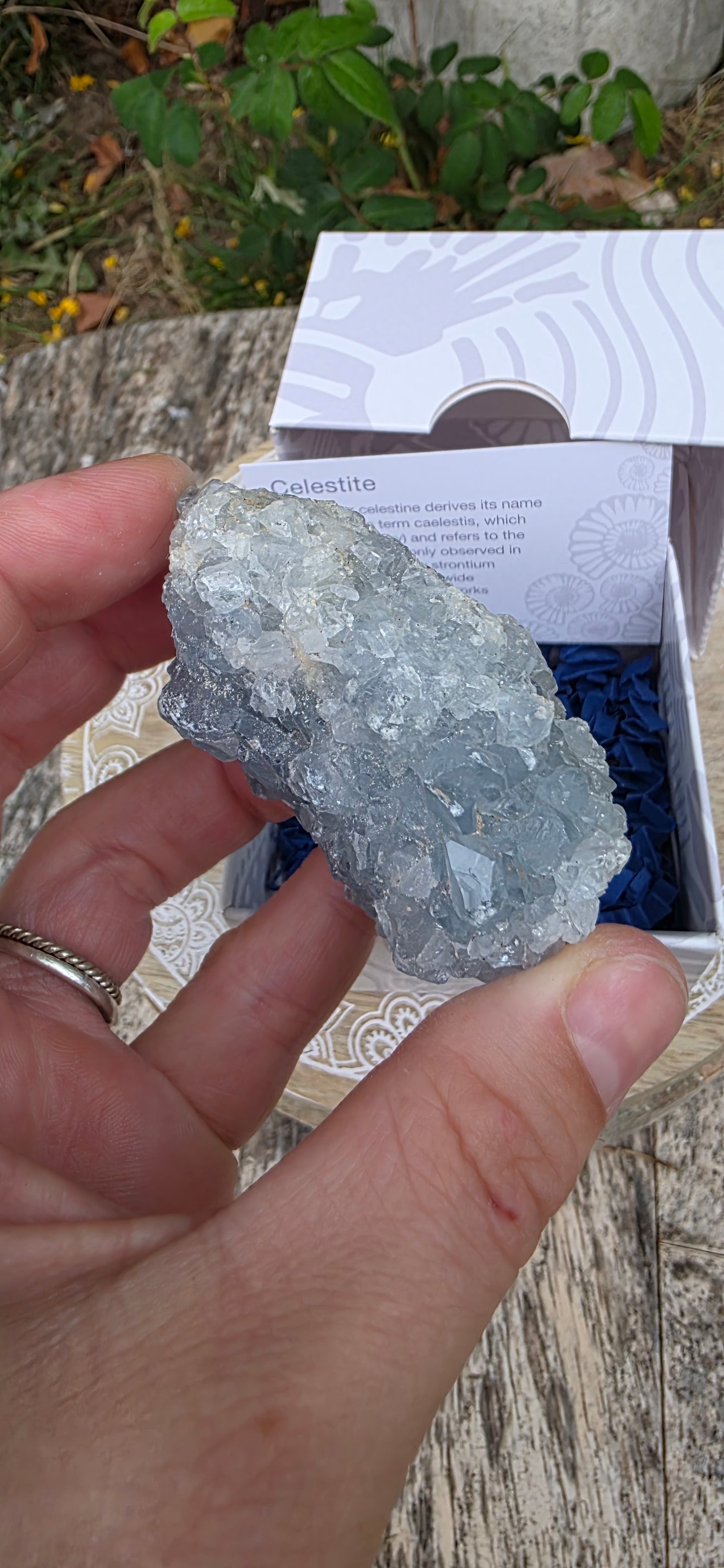 Celestite cluster