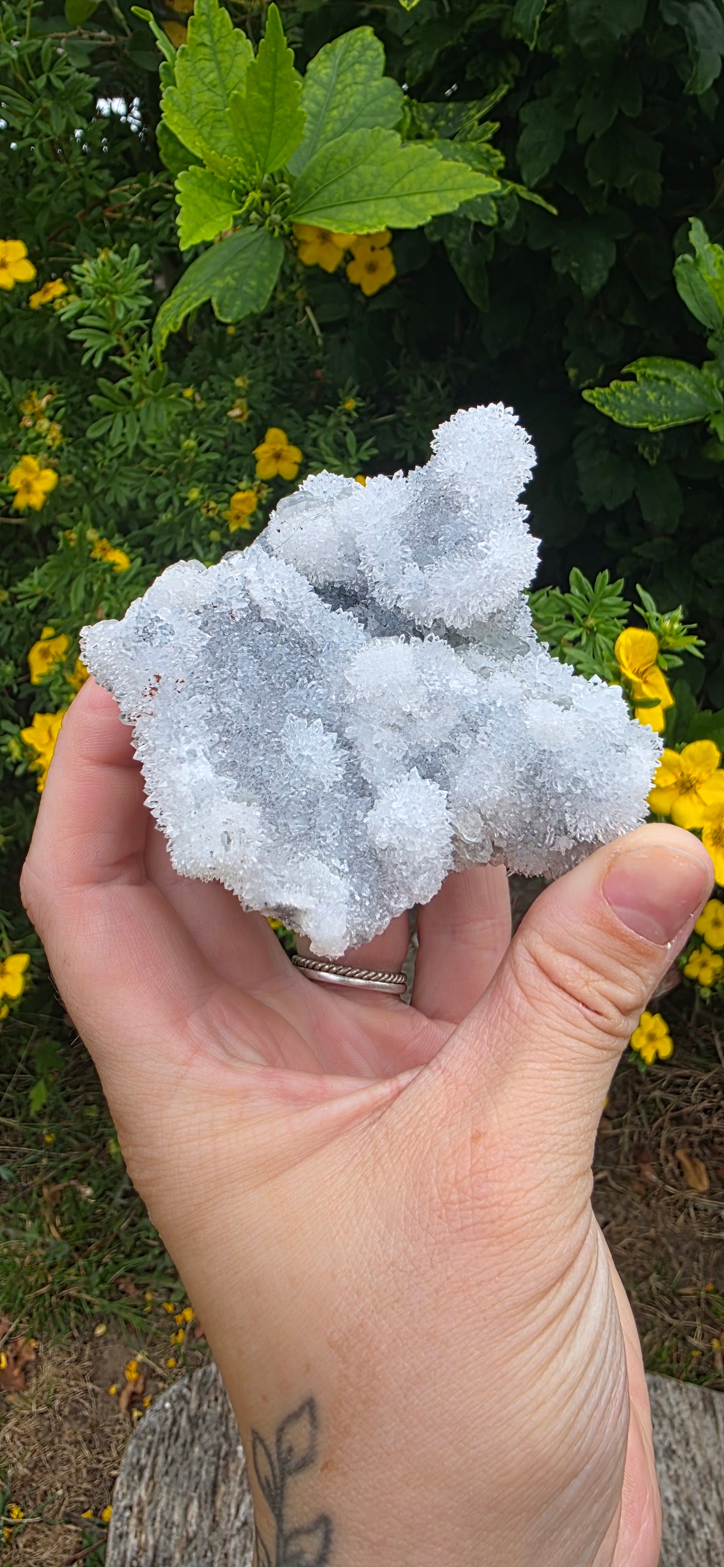 Green fluorite and quartz from jujian china