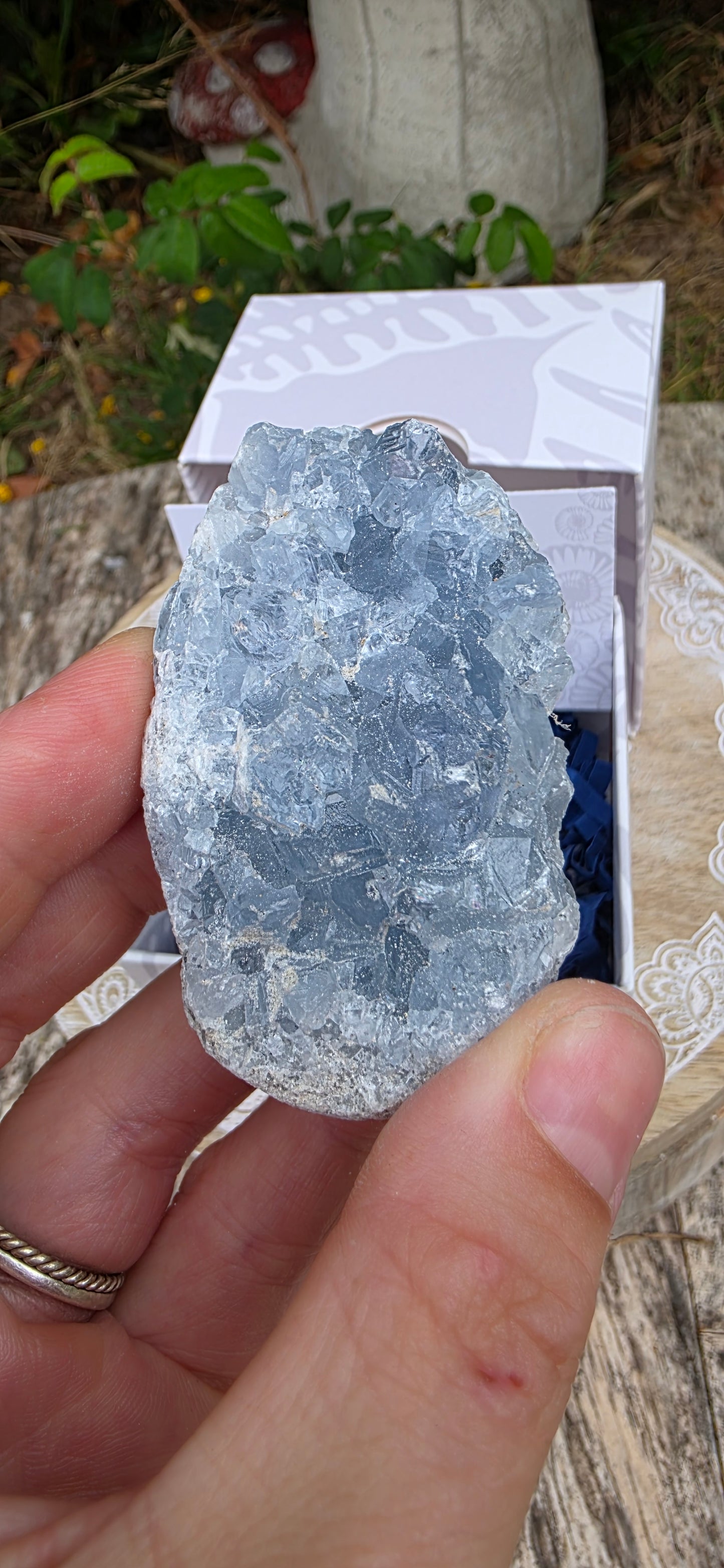 Celestite cluster
